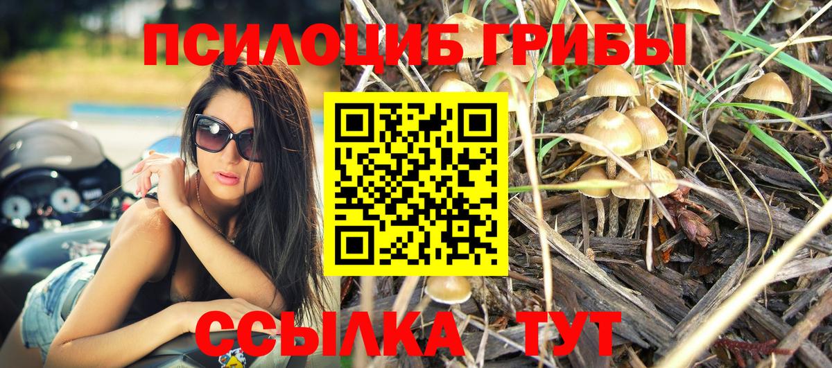 Псилоцибиновые грибы MAGIC MUSHROOMS  Галлюциногенные грибы MAGIC MUSHROOMS  Вход с VPN  Ижевск 
