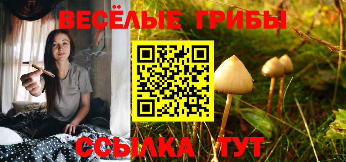 Псилоцибиновые грибы прущие грибы Ижевск